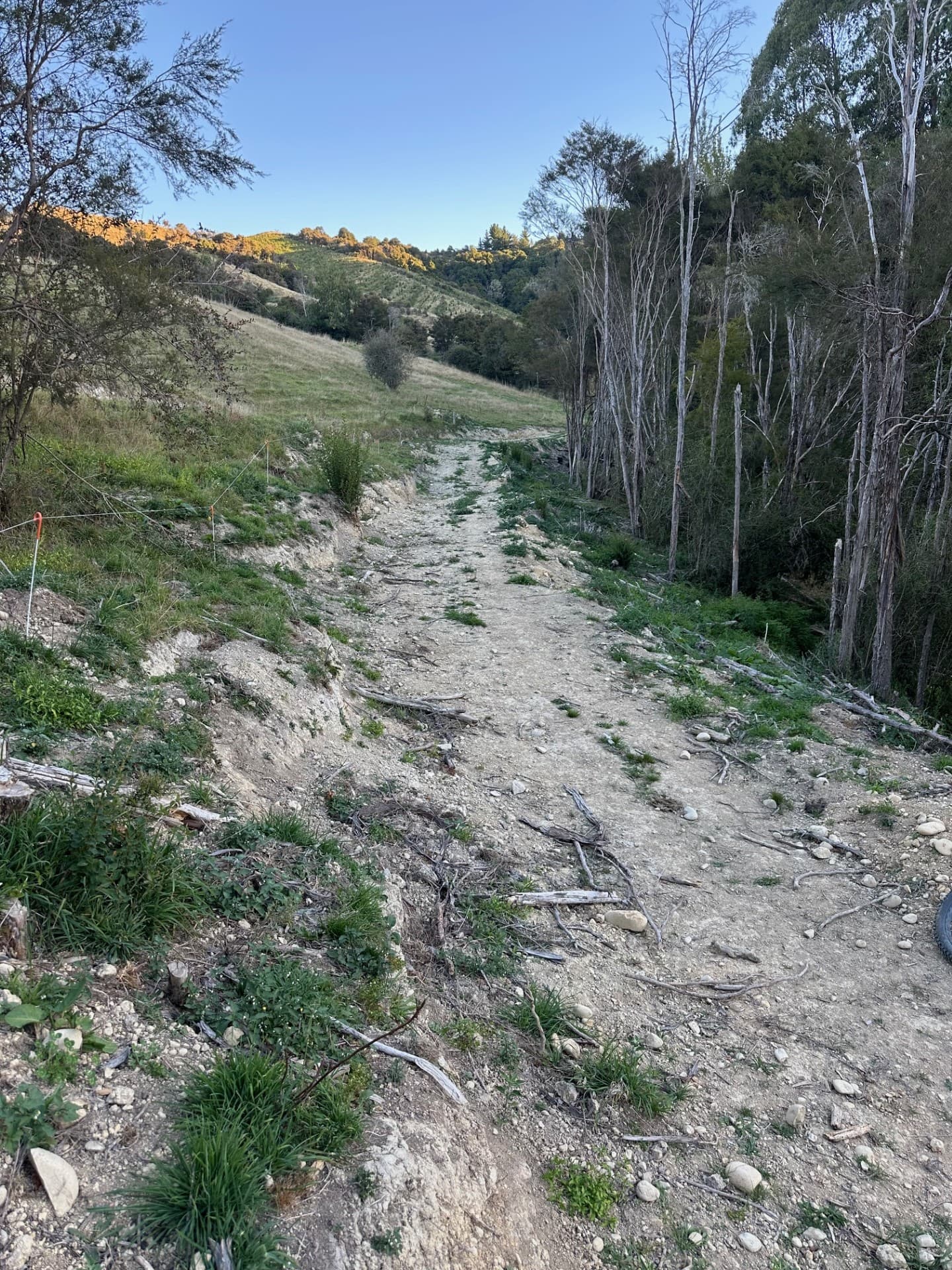 Establishment of Legal Road Access — project view 3