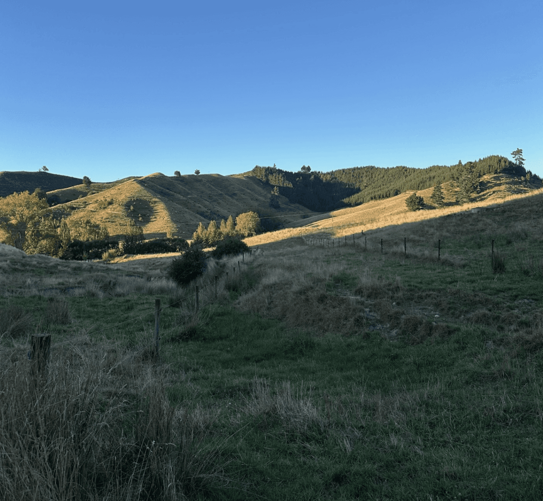 Establishment of Legal Road Access — project view 4