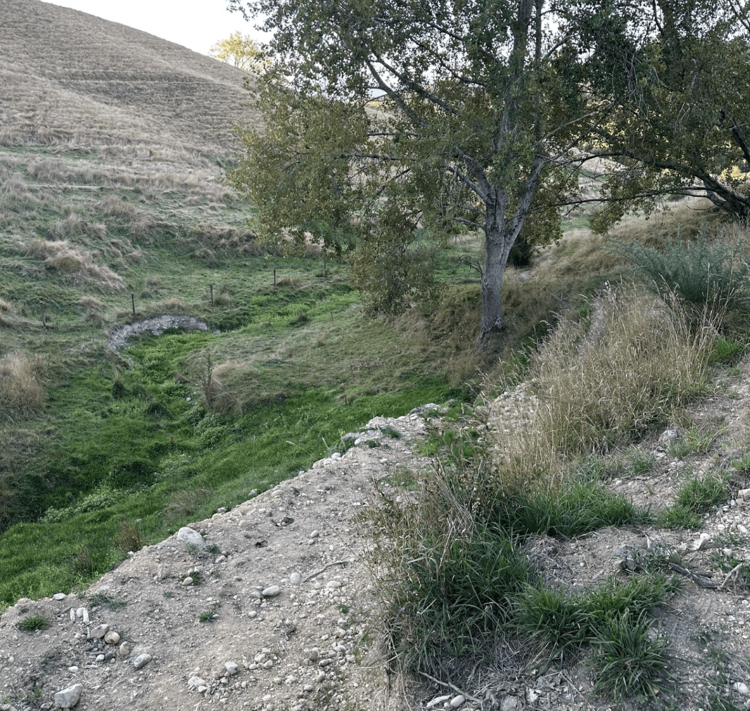 Establishment of Legal Road Access — project view 5