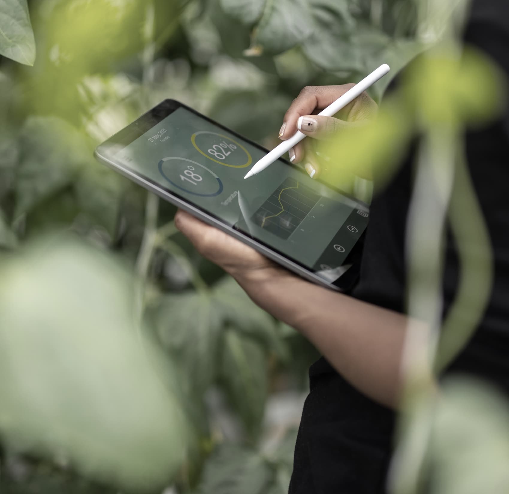 Planning work being reviewed on a tablet in a garden setting