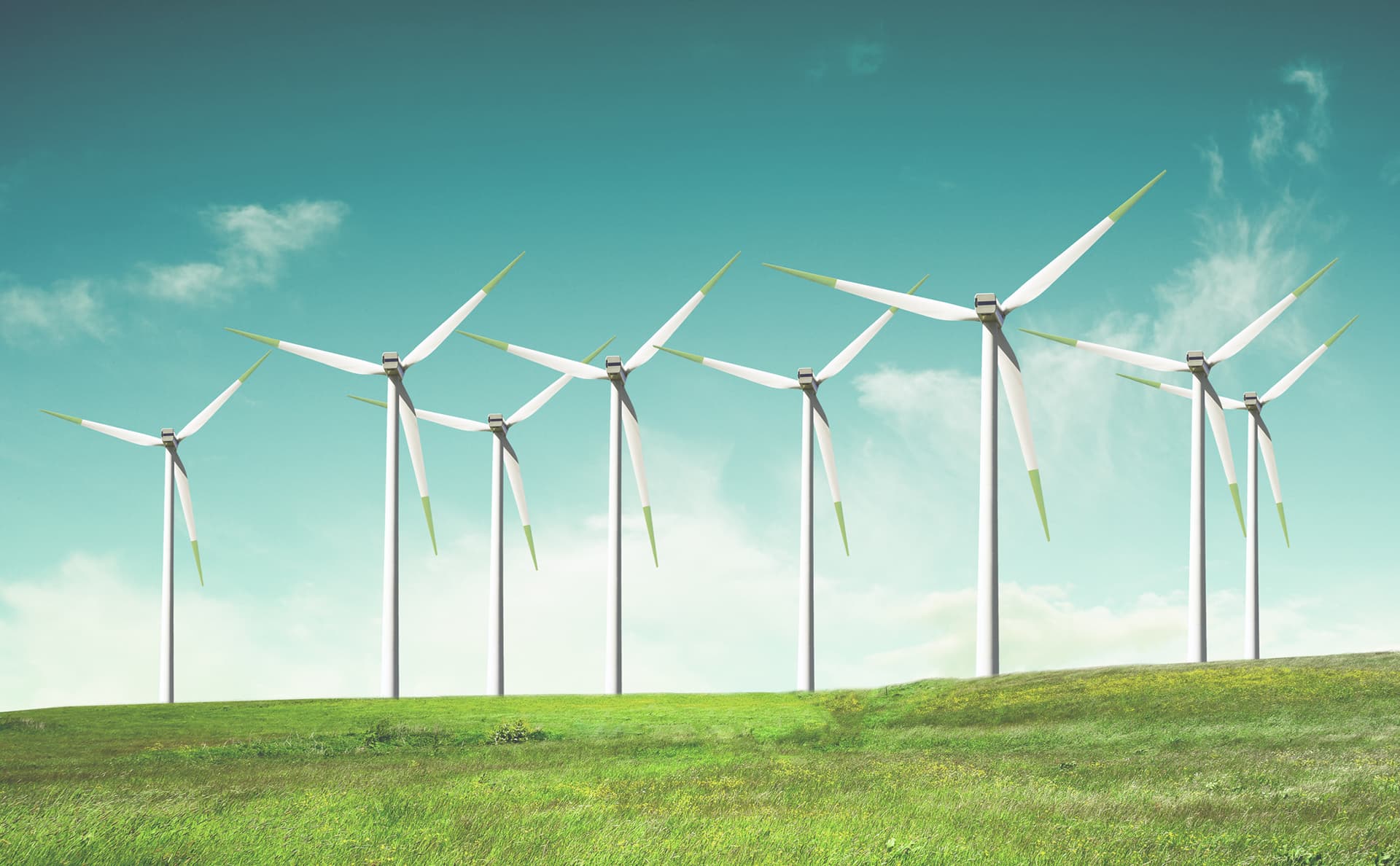 Wind turbines in a rural landscape